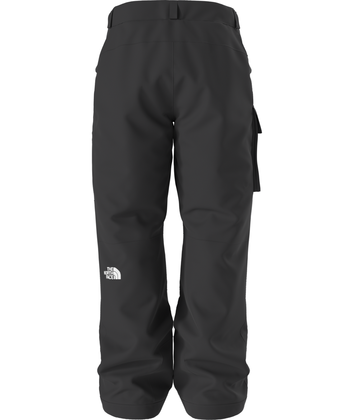 The North Face Men's Freedom Insulated Ski & Snowboard Pants