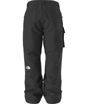 The North Face Men's Freedom Insulated Ski & Snowboard Pants