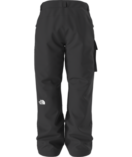 The North Face Men's Freedom Insulated Ski & Snowboard Pants