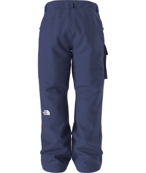 The North Face Men's Freedom Insulated Ski & Snowboard Pants