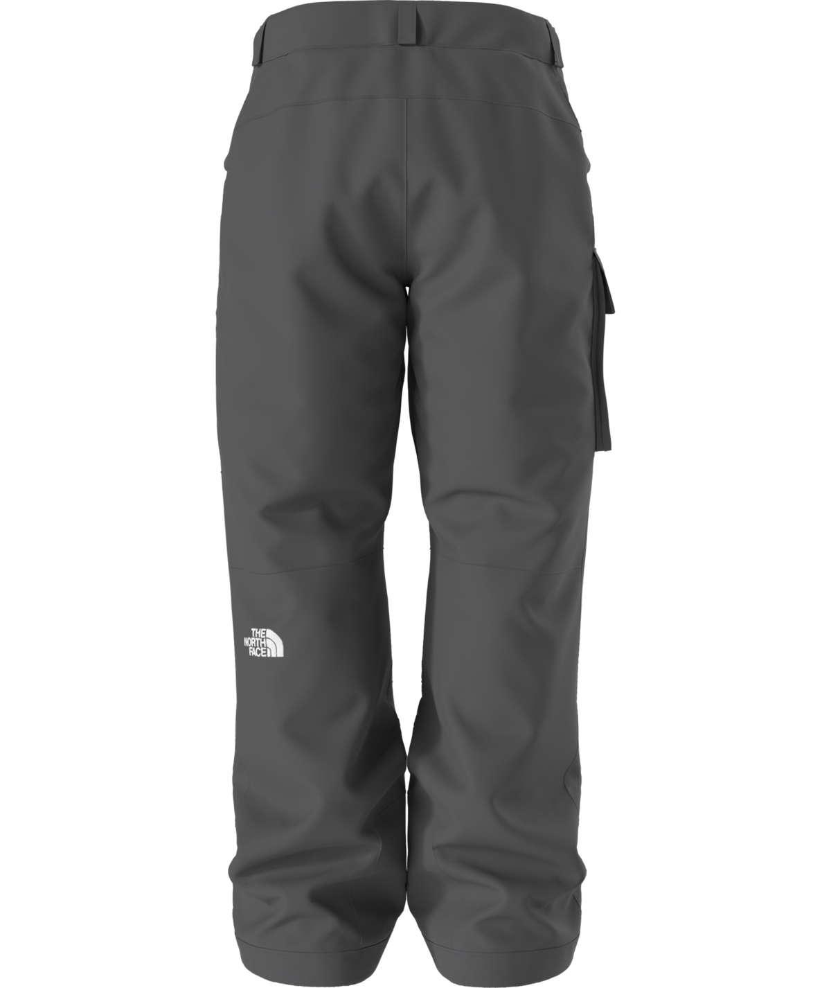 The North Face Men's Freedom Insulated Ski & Snowboard Pants