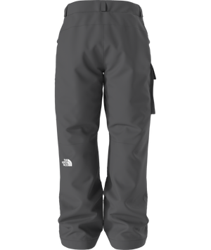 The North Face Men's Freedom Insulated Ski & Snowboard Pants