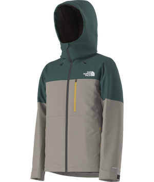 The North Face Men's Freedom Insulated Ski & Snowboard Jacket