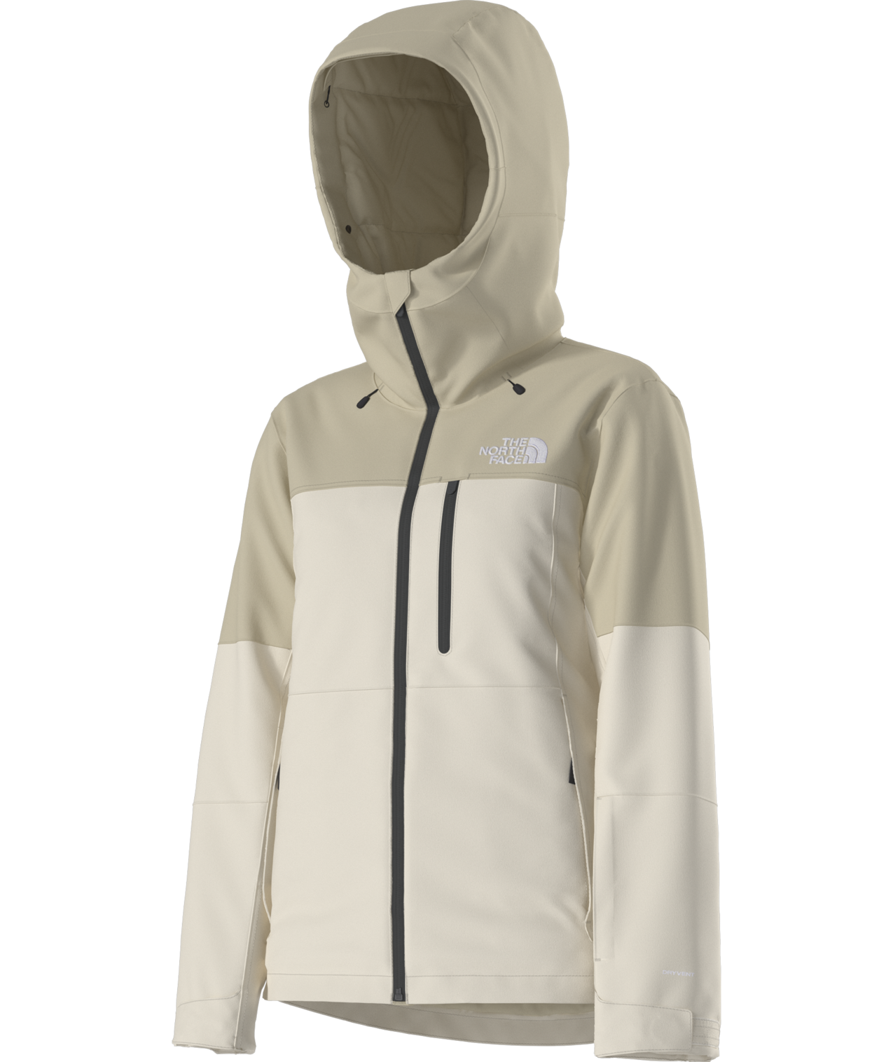 The North Face Women's Freedom Insulated Ski & Snowboard Jacket
