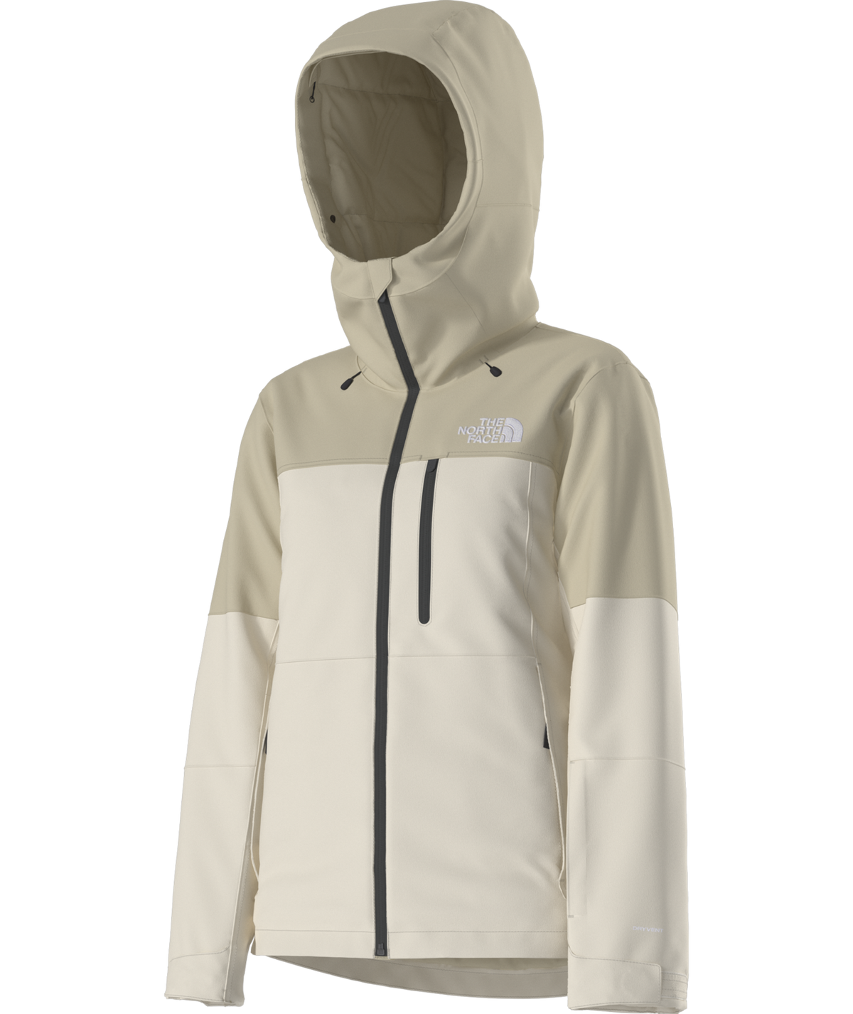 The North Face Women's Freedom Insulated Ski & Snowboard Jacket