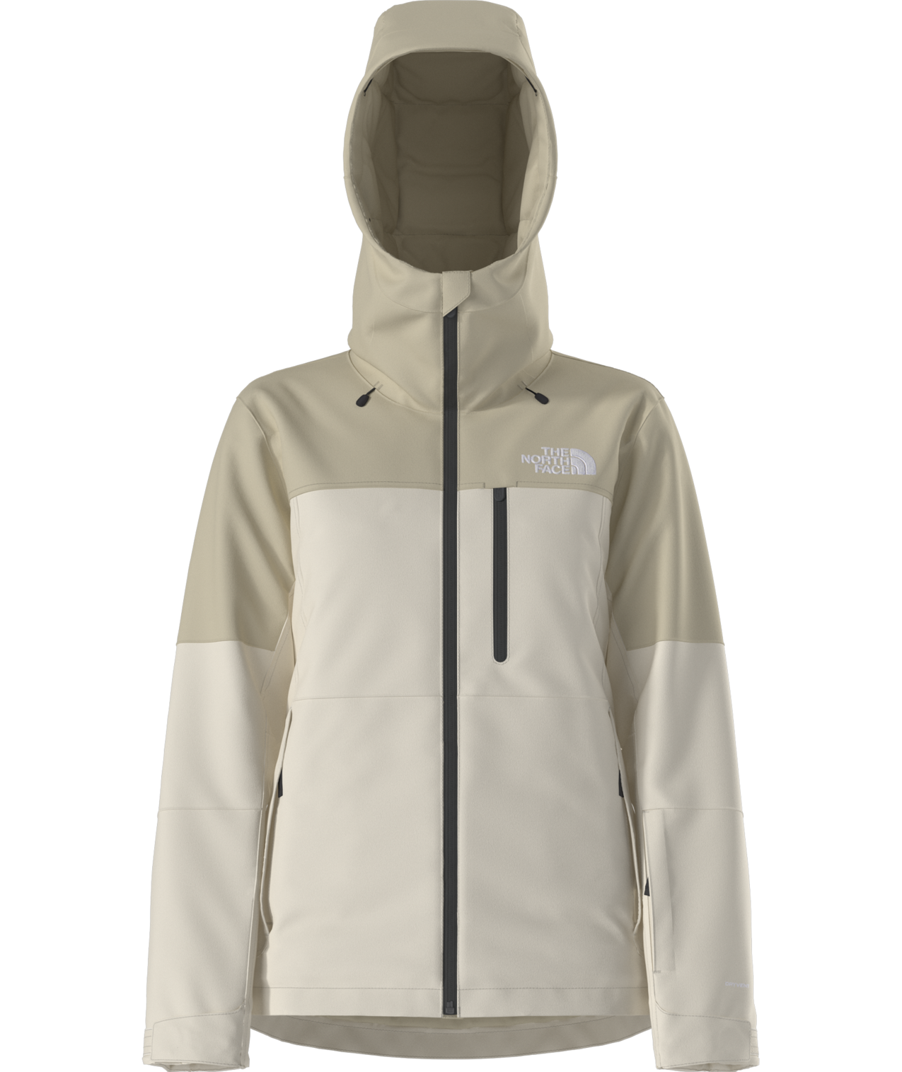 The North Face Women's Freedom Insulated Ski & Snowboard Jacket