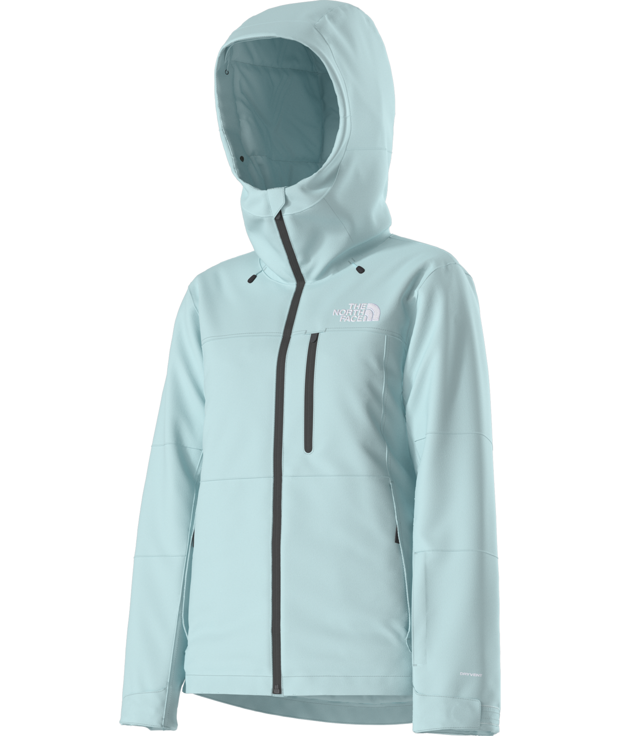 The North Face Women's Freedom Insulated Ski & Snowboard Jacket