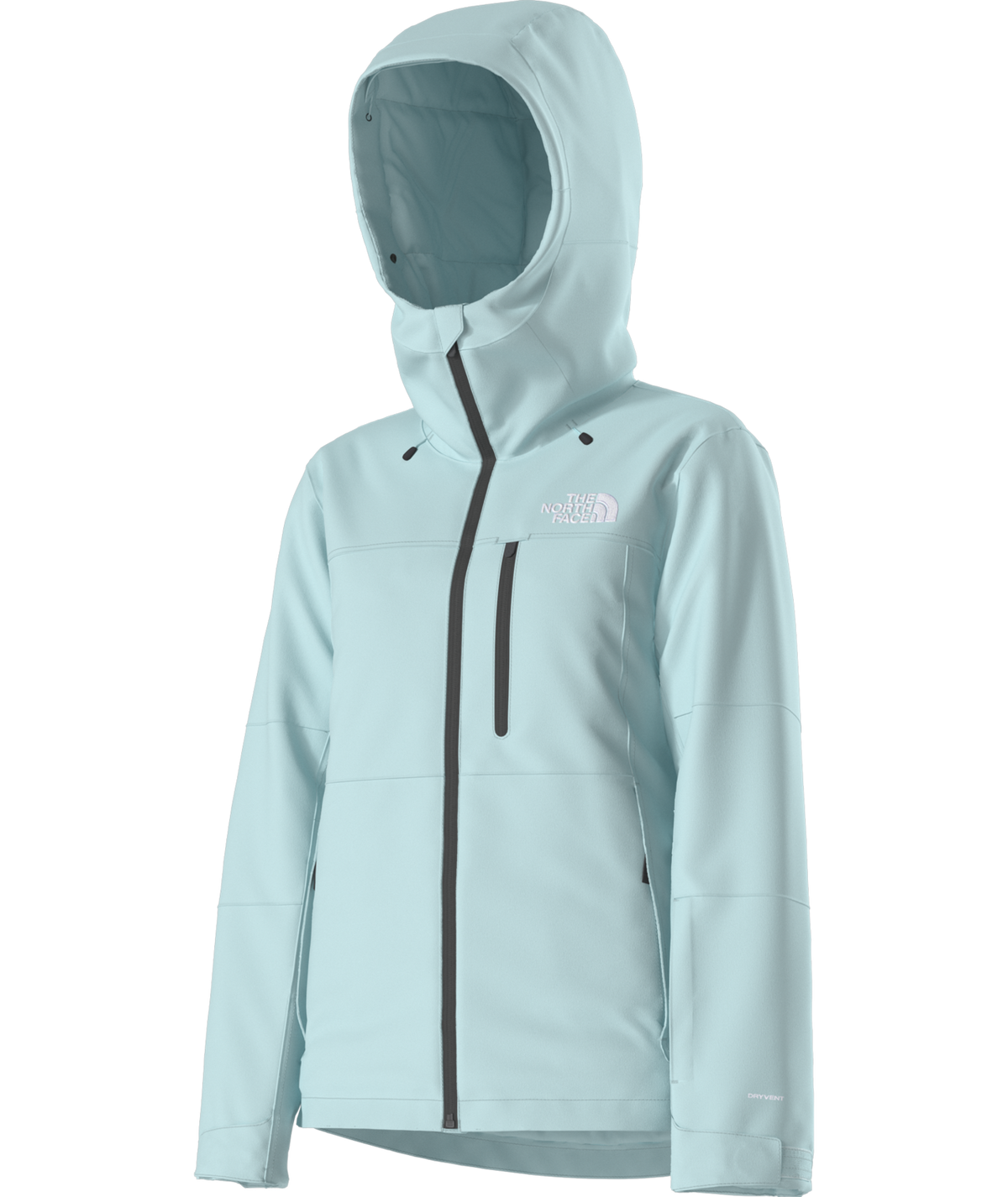 The North Face Women's Freedom Insulated Ski & Snowboard Jacket