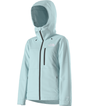 The North Face Women's Freedom Insulated Ski & Snowboard Jacket
