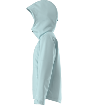 The North Face Women's Freedom Insulated Ski & Snowboard Jacket