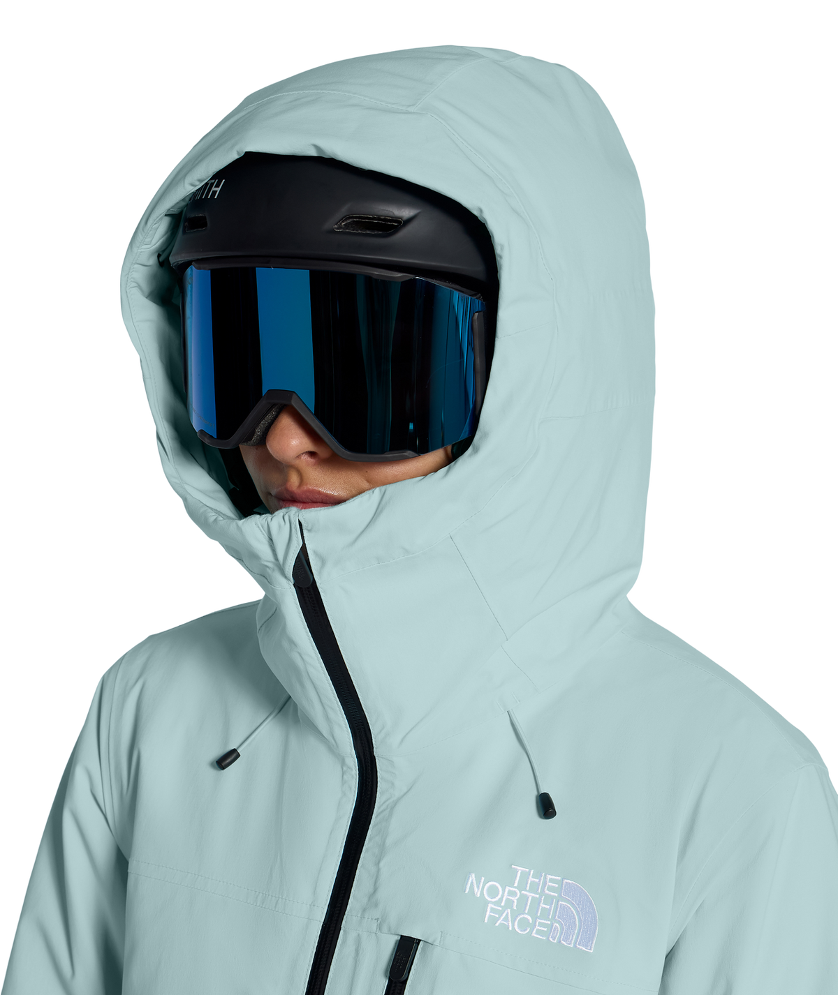 The North Face Women's Freedom Insulated Ski & Snowboard Jacket
