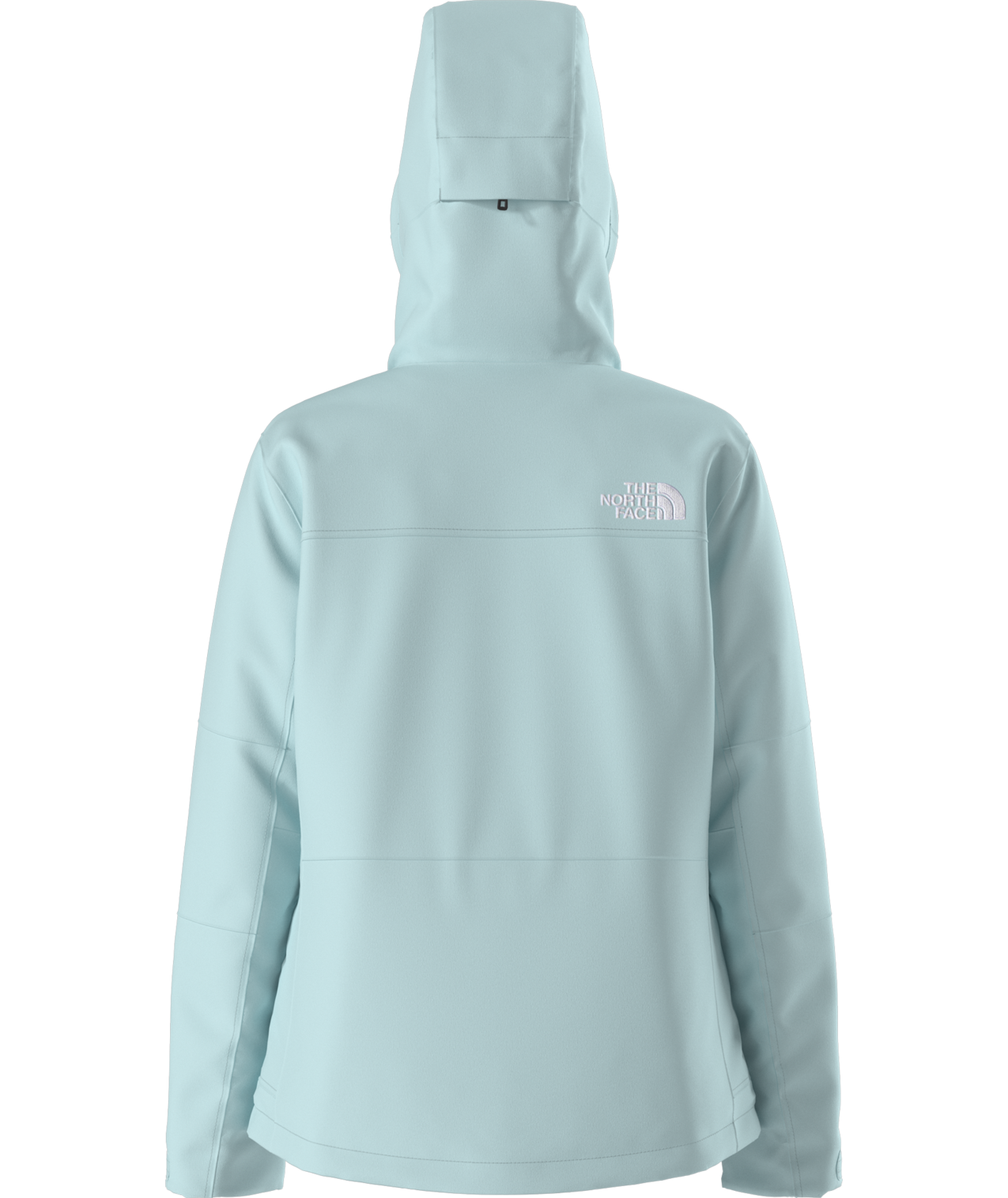 The North Face Women's Freedom Insulated Ski & Snowboard Jacket