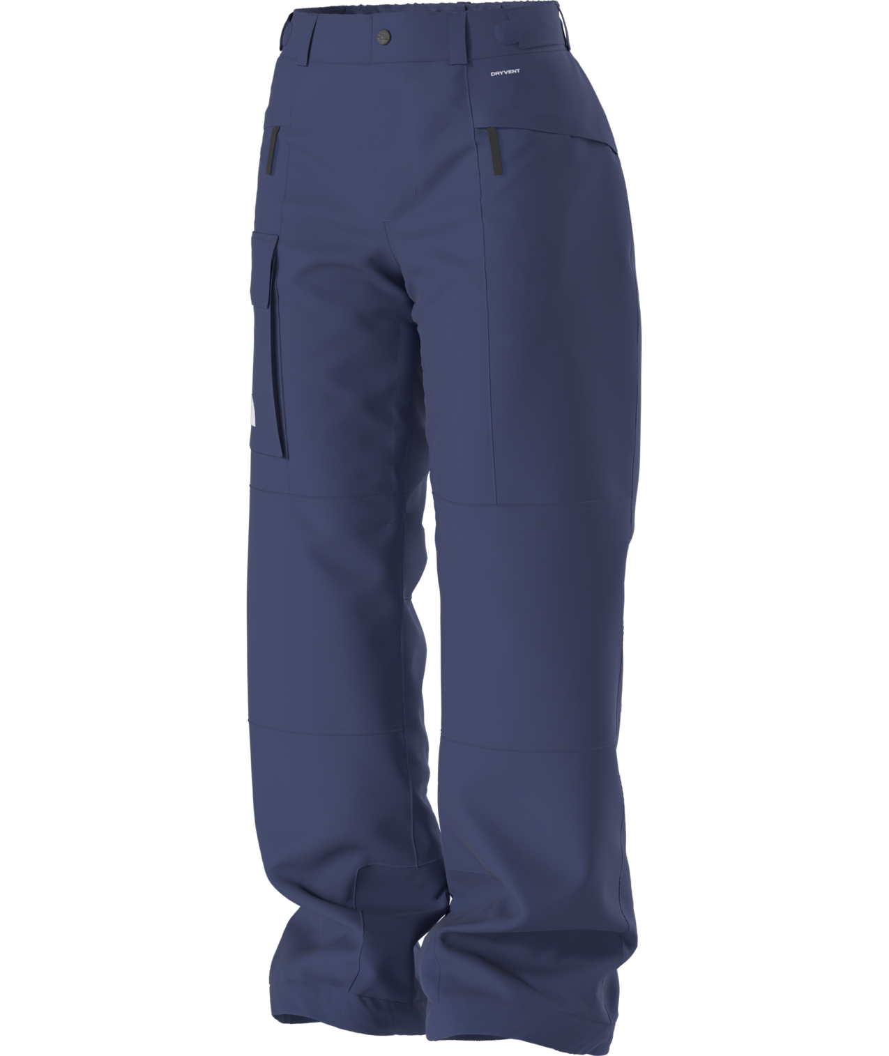 The North Face Women's Freedom Insulated Ski & Snowboard Pants