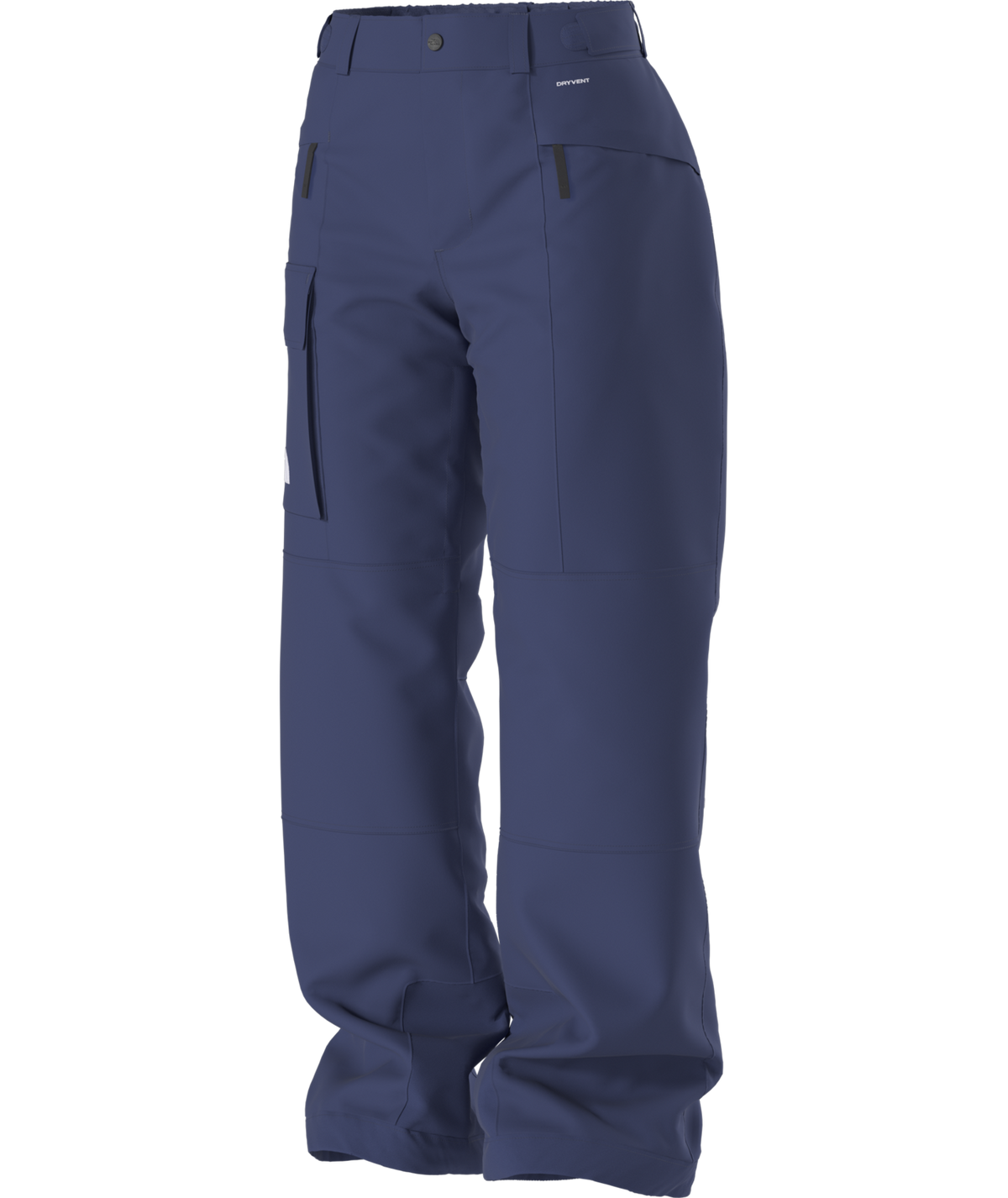 The North Face Women's Freedom Insulated Ski & Snowboard Pants
