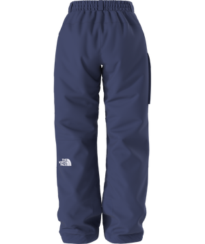 The North Face Women's Freedom Insulated Ski & Snowboard Pants