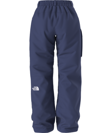 The North Face Women's Freedom Insulated Ski & Snowboard Pants
