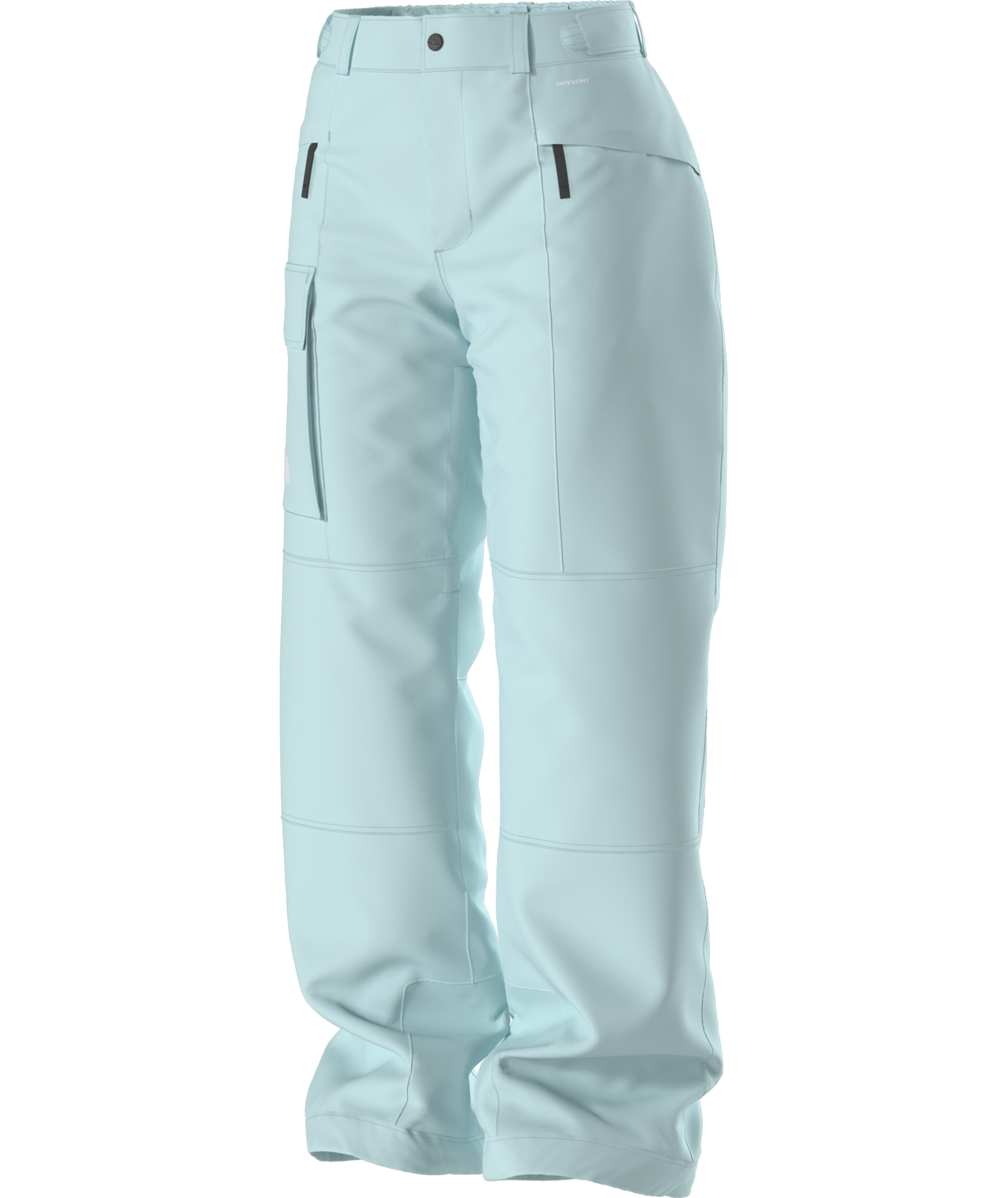 The North Face Women's Freedom Insulated Ski & Snowboard Pants