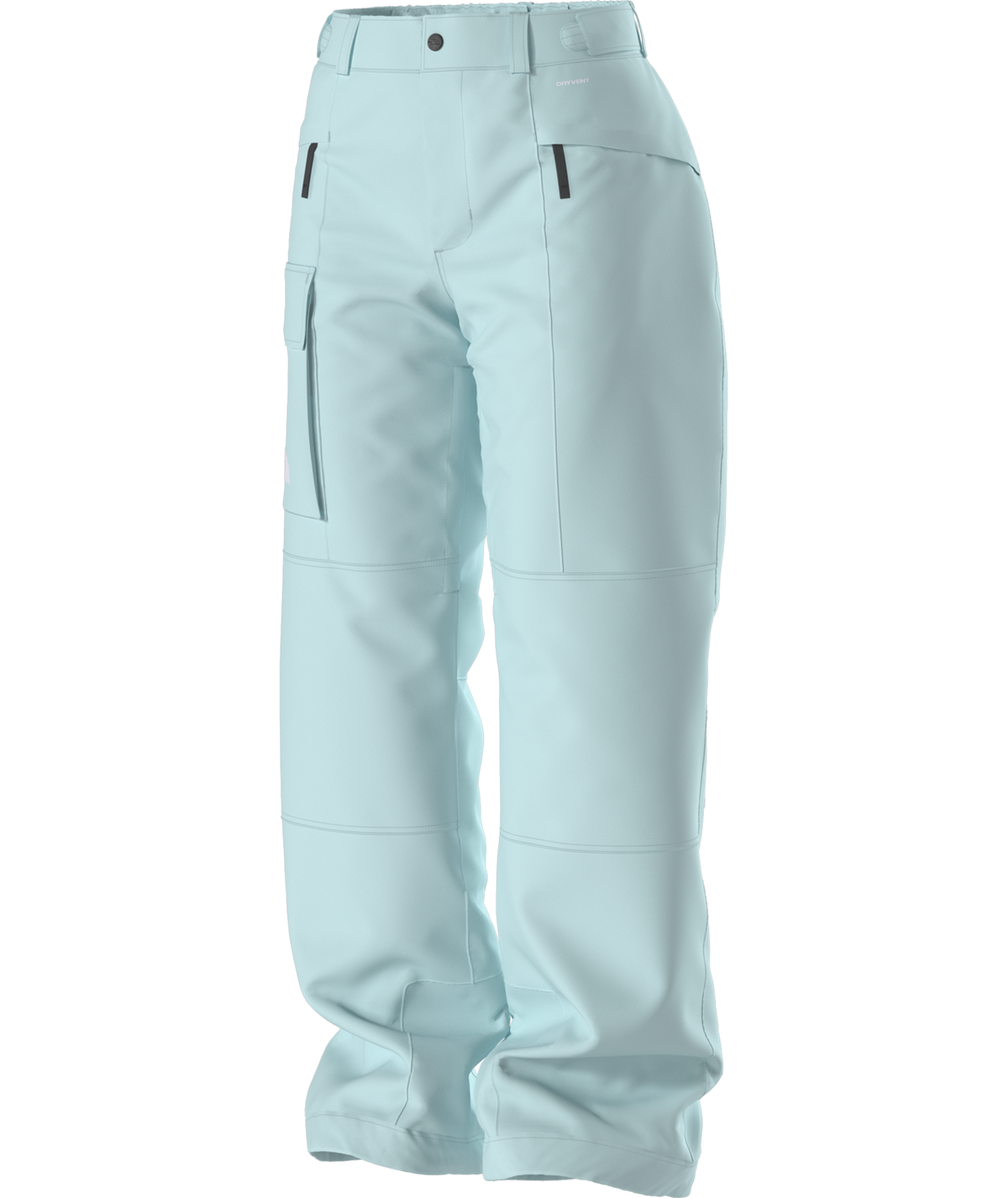 The North Face Women's Freedom Insulated Ski & Snowboard Pants