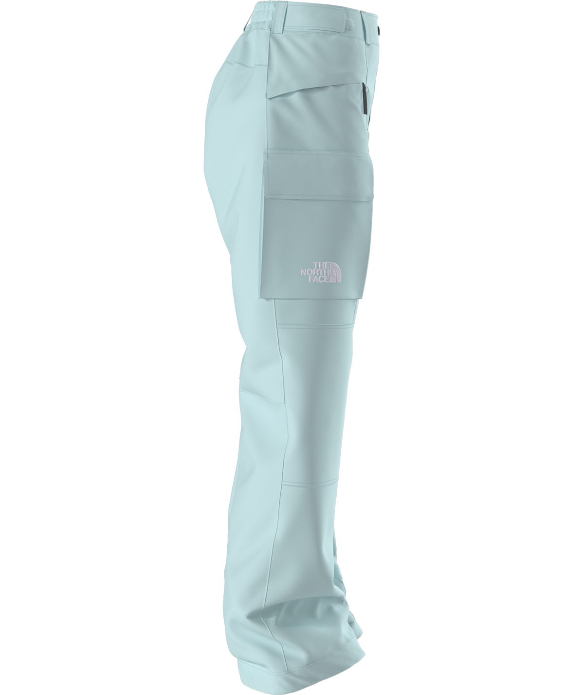 The North Face Women's Freedom Insulated Ski & Snowboard Pants