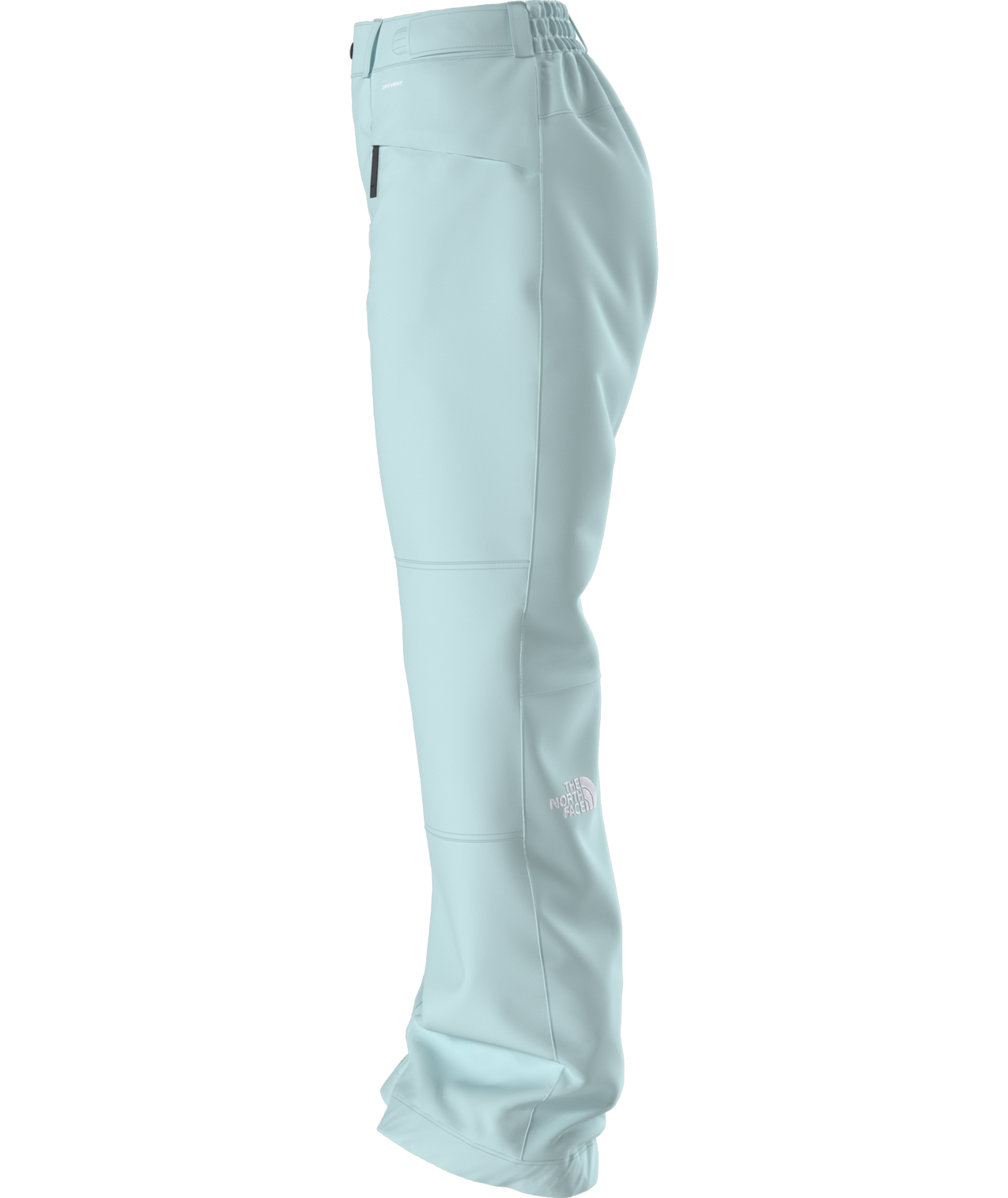 The North Face Women's Freedom Insulated Ski & Snowboard Pants