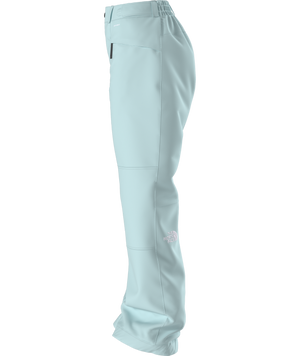 The North Face Women's Freedom Insulated Ski & Snowboard Pants