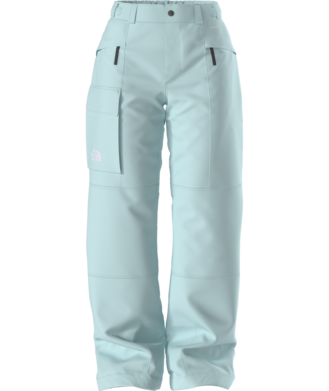 The North Face Women's Freedom Insulated Ski & Snowboard Pants
