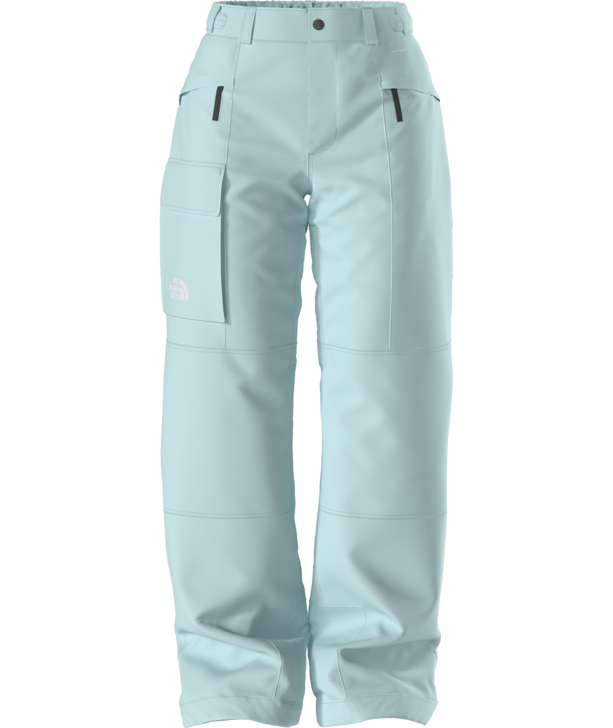 The North Face Women's Freedom Insulated Ski & Snowboard Pants
