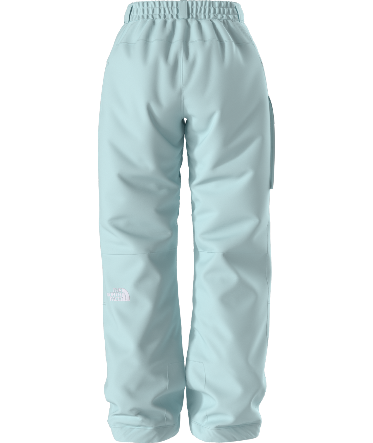 The North Face Women's Freedom Insulated Ski & Snowboard Pants