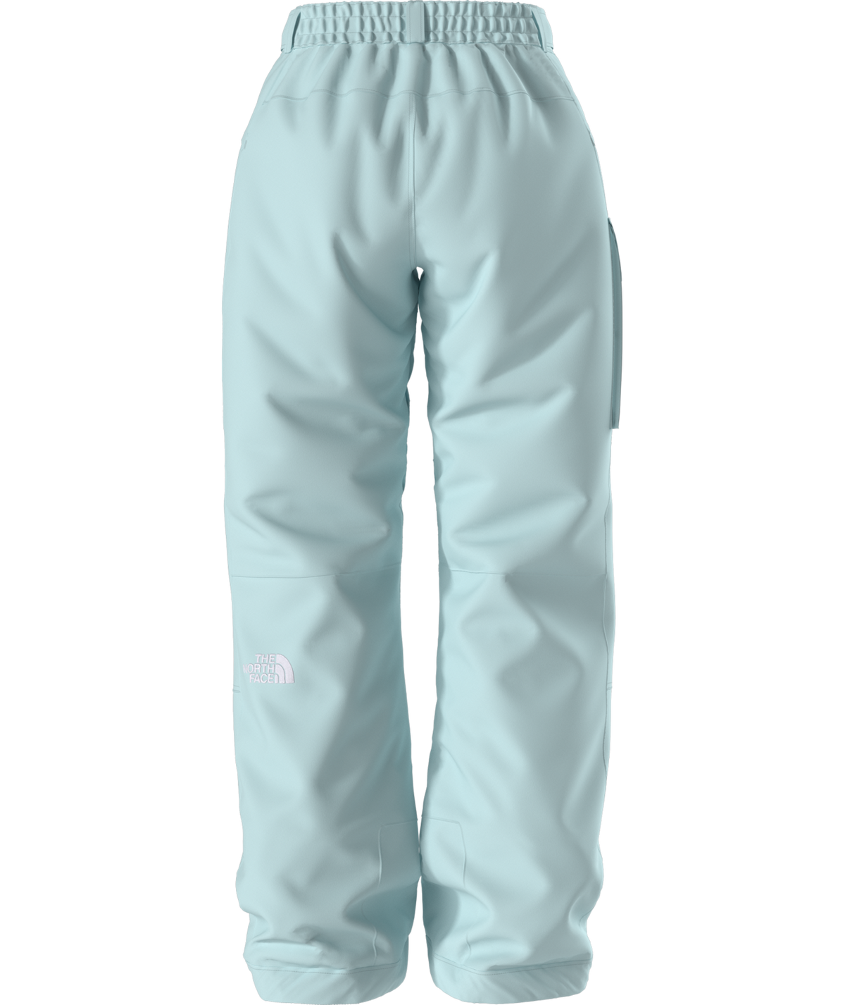 The North Face Women's Freedom Insulated Ski & Snowboard Pants