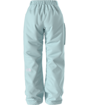 The North Face Women's Freedom Insulated Ski & Snowboard Pants