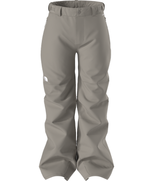 The North Face Boys' Freedom Insulated Ski & Snowboard Pants