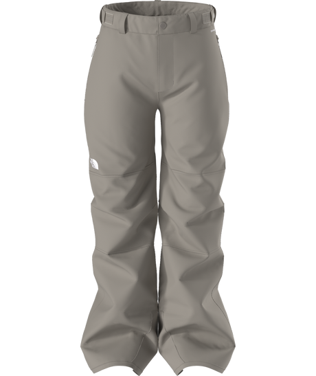 The North Face Boys' Freedom Insulated Ski & Snowboard Pants