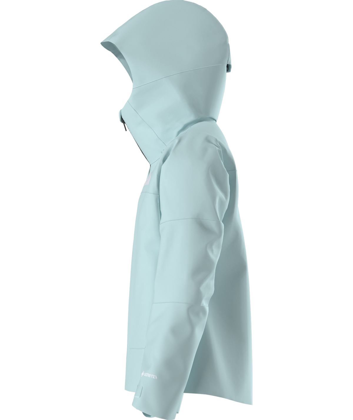 The North Face Women's GTX Dawnstrike Insulated Ski & Snowboard Jacket