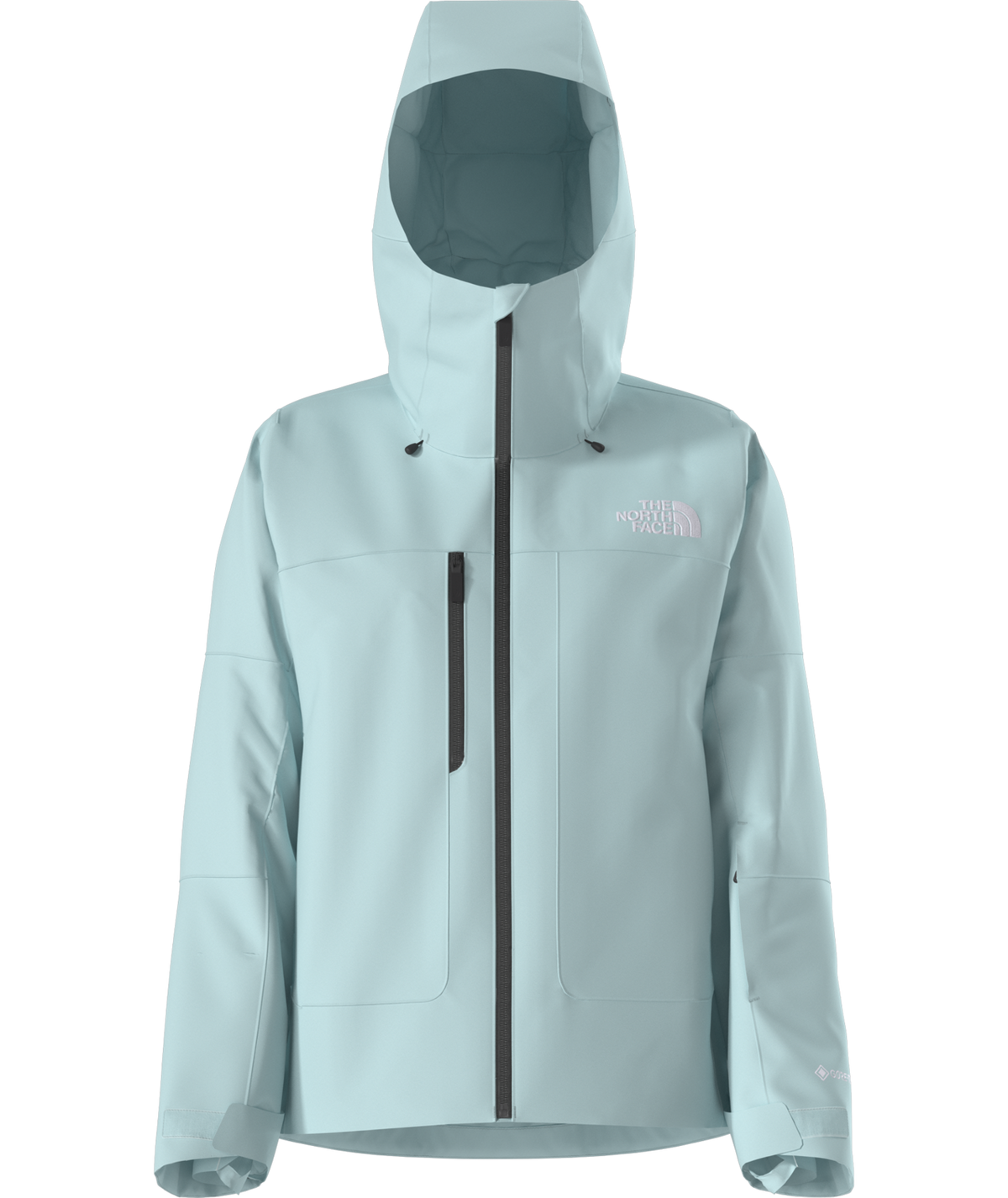 The North Face Women's GTX Dawnstrike Insulated Ski & Snowboard Jacket