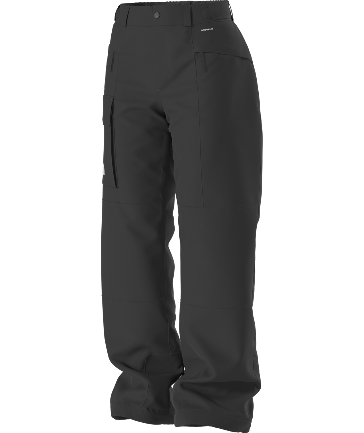 The North Face Women's Freedom Insulated Ski & Snowboard Pants