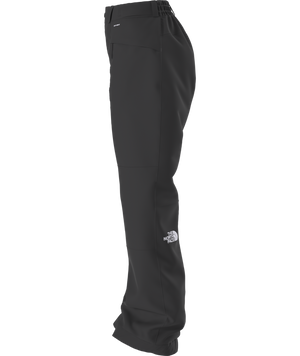 The North Face Women's Freedom Insulated Ski & Snowboard Pants