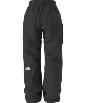 The North Face Women's Freedom Insulated Ski & Snowboard Pants