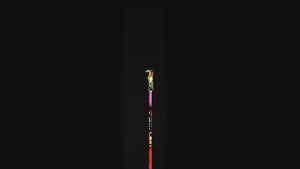 Leki WCR Evo Lite SL TR Junior Race Ski Poles