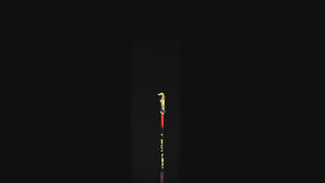 Leki WCR Evo Lite SL TR Junior Race Ski Poles