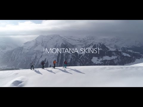 Cut and Go Skins