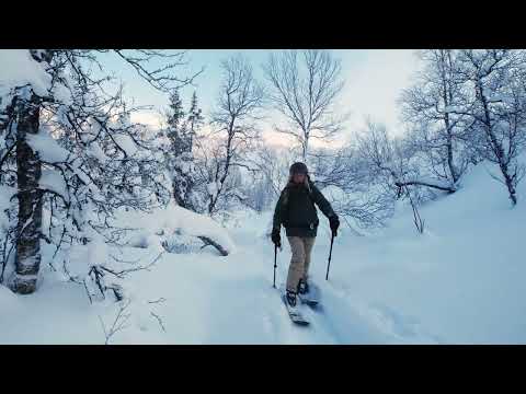 SnowPack Ski & Snowboard Rack