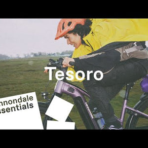 Tesoro X 3 Step-Thru - Mercury