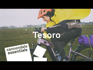 Tesoro X 3 Step-Thru - Mercury