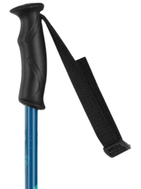 Electra Pole - Suburban Ski and Bike