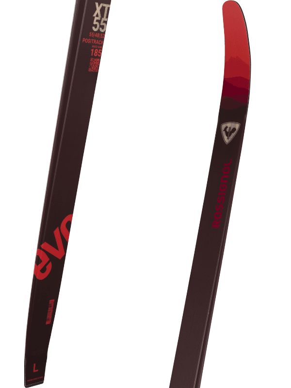Evo XT 55 2024 - Suburban Ski and Bike