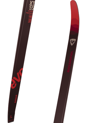 Evo XT 55 2024 - Suburban Ski and Bike