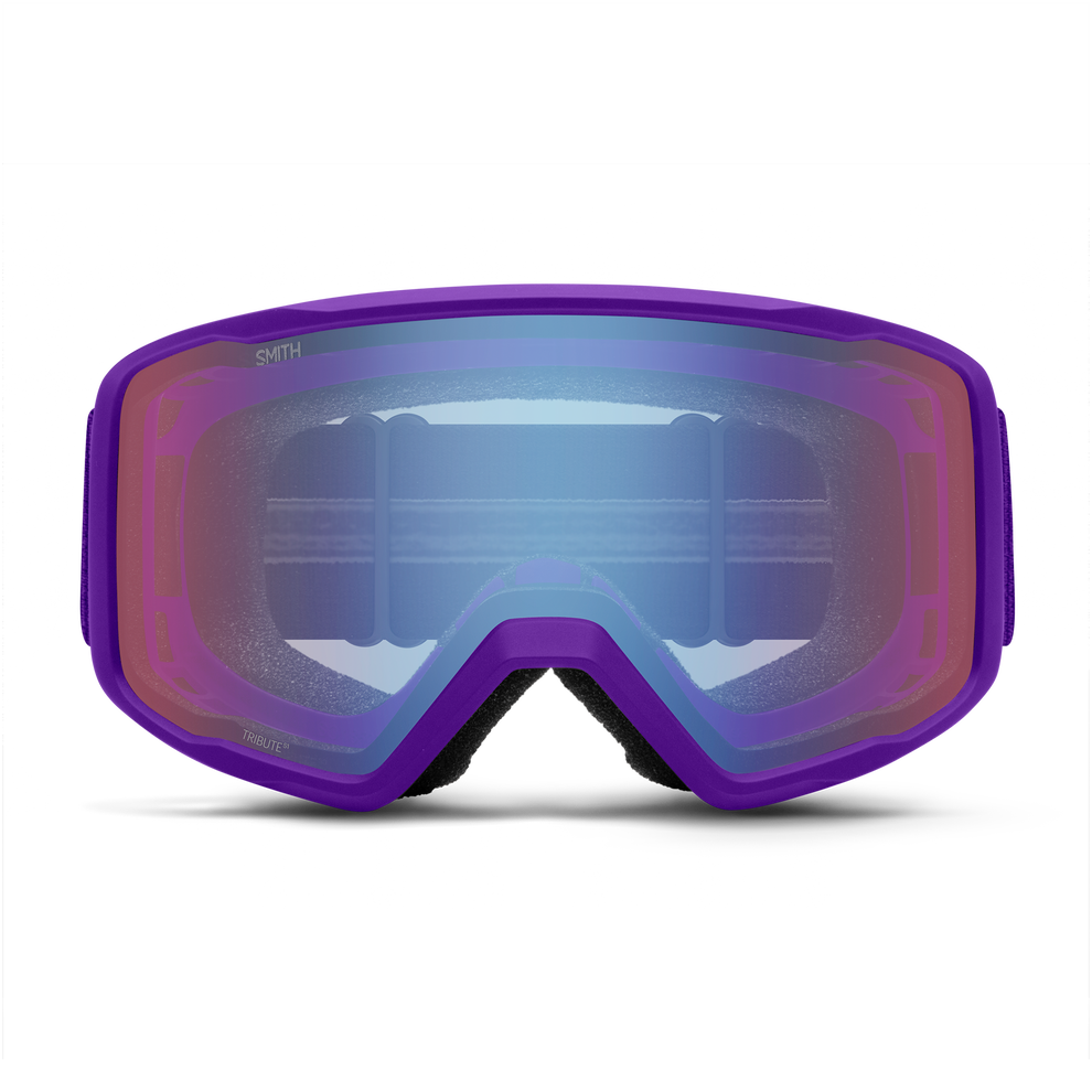 Smith Tribute Snow Goggles