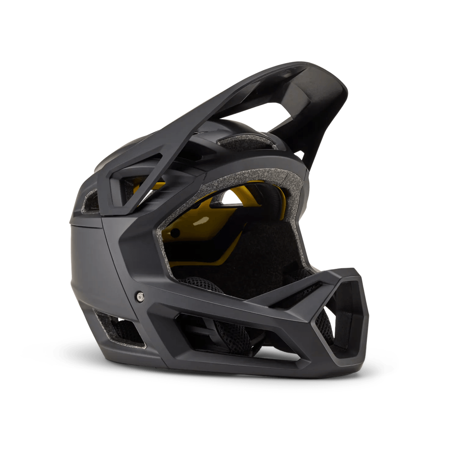 Proframe MTB Helmet