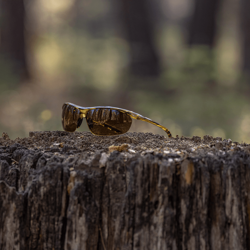 Zephyr Sunglasses